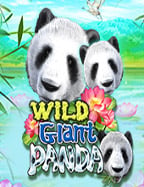 slot xo ฝาก 10 วิธีเพิ่มโอกาสชนะที่ต้องรู้